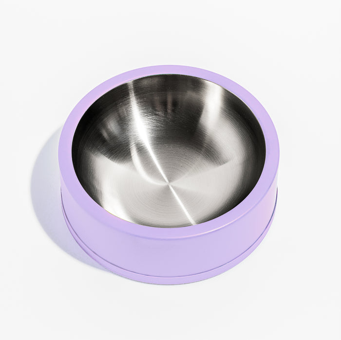 A shiny stainless steel pet bowl with a light purple outer rim, photographed from above on a white background.