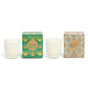 The Grove Co. Winter Glow Set from the Winter Collection features two white soy wax candles in ribbed glass jars and decorative green and gold patterned boxes, beautifully arranged for a festive touch.