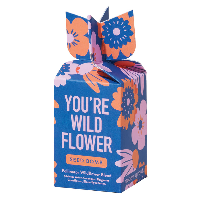 A bright blue box with pink, orange, and purple flowers, labeled YOURE WILD FLOWER SEED BOMB. The packaging also lists flower types and Pollinator Wildflower Blend at the bottom.
