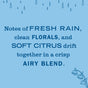 Text on a blue background reads: Mrs. Meyer's Scented Oil Refills 2pk features fresh rain, clean florals, and soft citrus in a crisp, garden-inspired scent. Raindrop and flower illustrations decorate the corners.